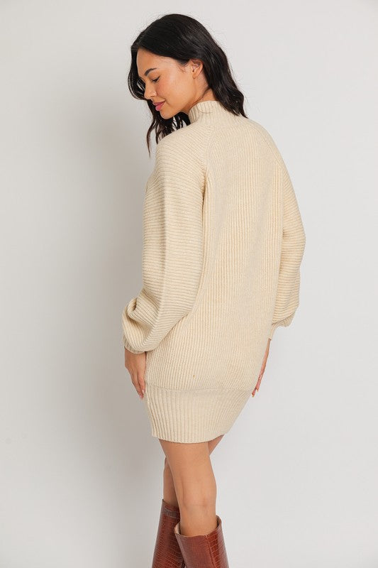 Stay Cozy Sweater Dress