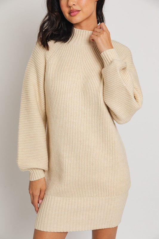 Stay Cozy Sweater Dress